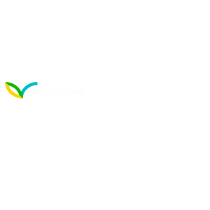 obras-especiales